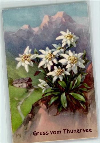 3653 Oberhofen am Thunersee AK mit Leporello sign. MN Thunersee Alpenflora Edelweiß Leporello AK