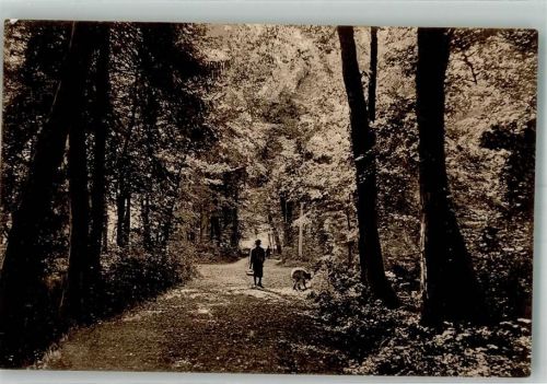 1296 Coppet Foto AK Dans le Parc