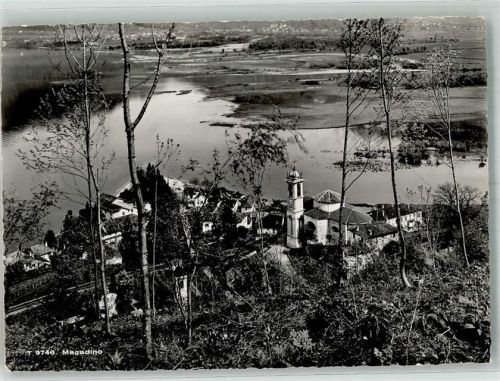 6573 Magadino 1952 Foto AK