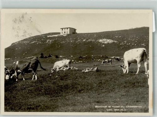 Chasseron Foto AK Hotel