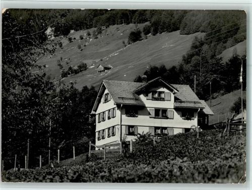 6461 Isenthal Foto AK Weid - Pension, gute Erhaltung AK