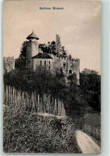 4144 Arlesheim 1910 - Schloss Birseck