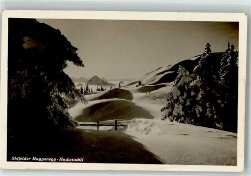 Haggenegg Foto AK Skifelder Hochstuckli Winter