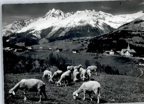 7133 Obersaxen Affeier - Schafe, Egga