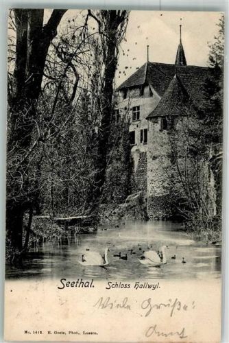 5705 Hallwil 1902 Foto AK Schloss
