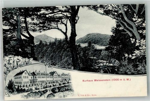 4515 Weissenstein b. Solothurn Foto AK Kurhaus Hotel