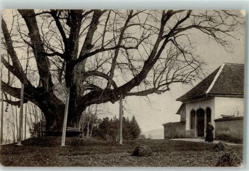 5620 Bremgarten AG - Einsiedelei Emaus Riesenlinde