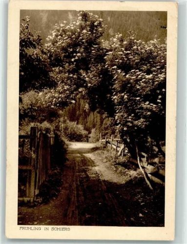 7220 Schiers - Heimatbilderserie Frühling