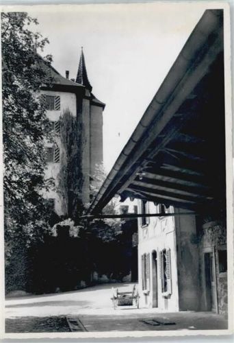 4132 Muttenz Freidorf BL - Schloss Heidegg
