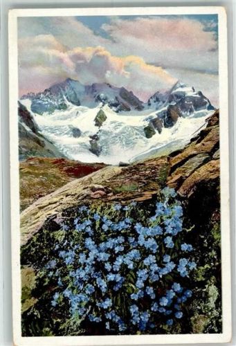 Bernina - Photochromie Serie 579 Nr. 1483 Zwergvergißmeinnicht