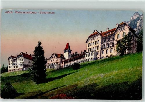 8881 Walenstadtberg - Sanatorium