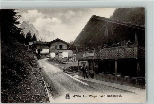 3860 Rosenlaui - Am Wege nach Rosenlaui