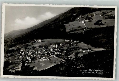 2533 Leubringen Evilard 1944 Foto AK