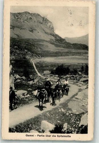 Gemmipass Wallis 1913 Foto AK Partie über die Spitalmatte
