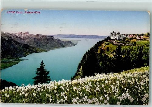 1824 Caux Gebrauchsspuren Hotel Palace