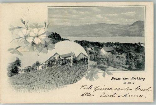 8712 Stäfa 1906 - Gruß vom Frohberg