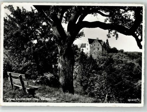 8268 Salenstein 1956 Foto AK Schloss