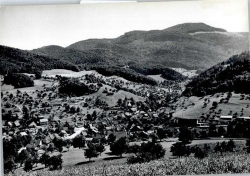 4418 Reigoldswil - Gesamtansicht