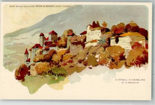 4663 Aarburg Lithographie Schloss Aarburg