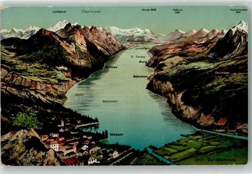 8874 Mühlehorn 1909 - Walensee Vogelschau