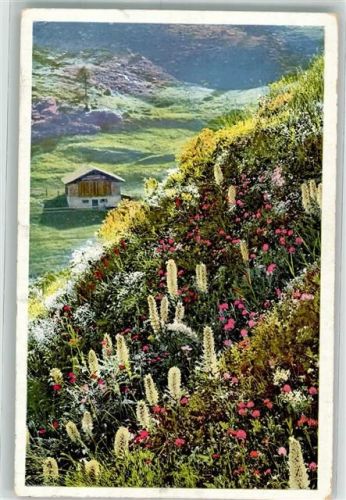 Bernina - Glockenblume Photochromie Serie 580 Nr. 1487