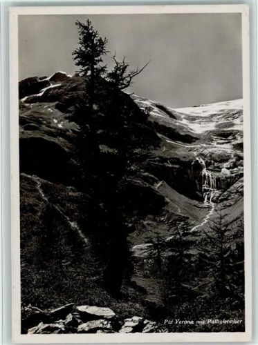 7710 Alp Grüm - Piz Verona mit Palügletscher