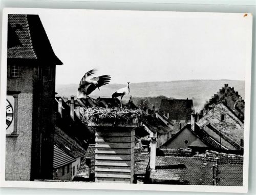 8213 Neunkirch - Storchennest