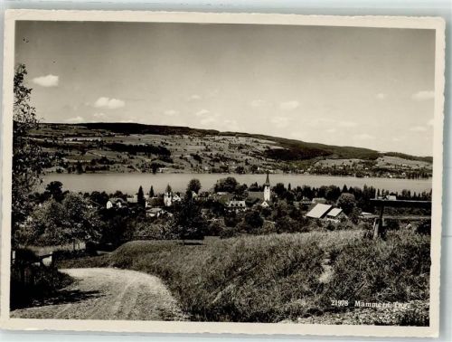 8265 Mammern 1951 Foto AK