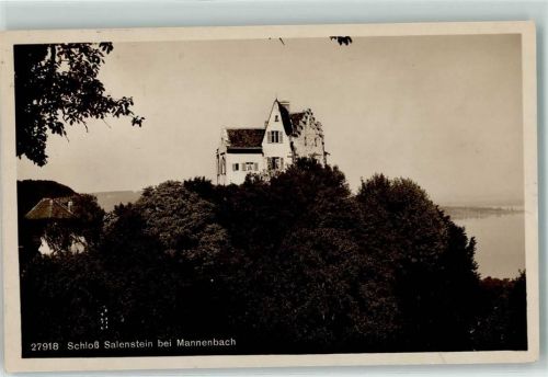8268 Mannenbach-Salenstein - Schloss Salenstein