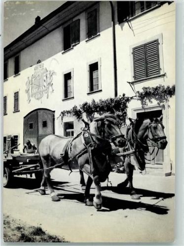 8213 Neunkirch - Tiergespann Pferdegeschirr Bauernhof Ferme