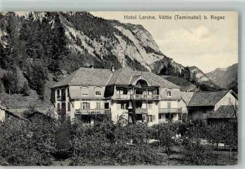 7315 Vättis Foto AK Hotel Lerche