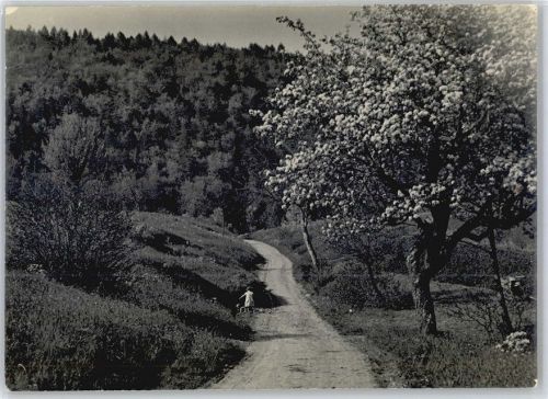 5106 Veltheim AG - Foto ca. 13x18 cm