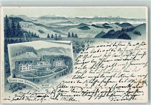 8636 Wald ZH Lithographie Sanatorium Fernsicht Vorläufer