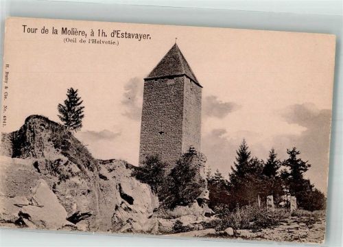 1470 Estavayer-le-Lac Foto AK Tour de la Moliére