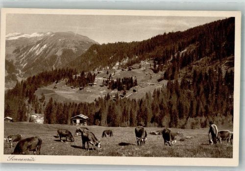 7057 Langwies Foto AK Sonnenrüti