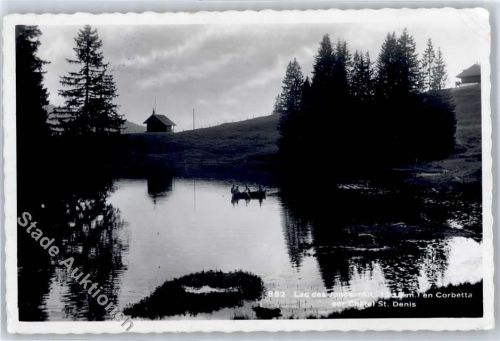 1618 Châtel-St-Denis - La des Joncs en Corbetta