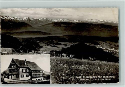8636 Wald ZH - Gast- und Kurhaus Alp Scheidegg Kühe