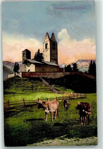 7505 Celerina/Schlarigna Gebrauchsspuren Totenkapelle Kühe