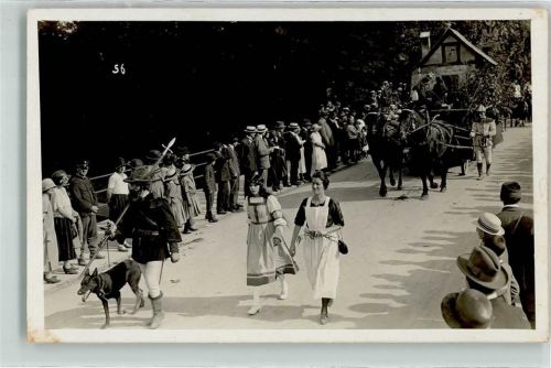 3000 Bern Berne - Festumzug