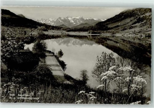 Aegerisee - Urirotstockgruppe