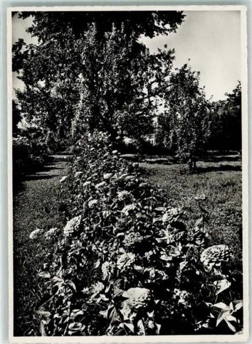 8706 Obermeilen - Schwesternheim