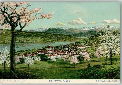 5712 Beinwil am See 1909 Künstlerkarte sign. Buchstätter, Hans