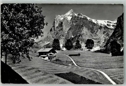 3818 Grindelwald Foto AK Pension Chalet Grindelwaldsübli