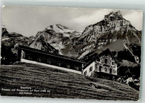 6390 Engelberg Foto AK Pension Gasthaus auf Bord mit Hahnen
