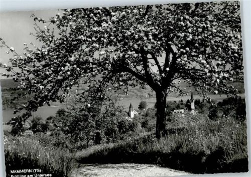 8265 Mammern - Untersee
