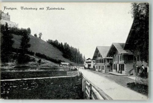 3714 Frutigen Foto AK Tellenburg Rheinbrücke