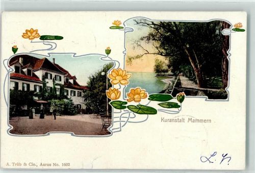 8265 Mammern 1905 Gebrauchsspuren Kuranstalt Seerosen