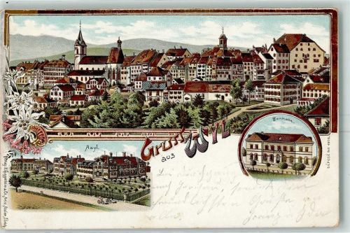 9500 Wil SG 1901 Lithographie Asyl Tonhalle