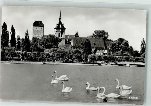 9320 Arbon Foto AK Schwäne