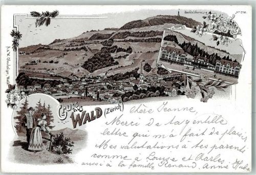 8636 Wald ZH 1898 Lithographie Bachtelturm Sanatorium